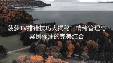 菠萝TV排错技巧大揭秘：情绪管理与案例标注的完美结合