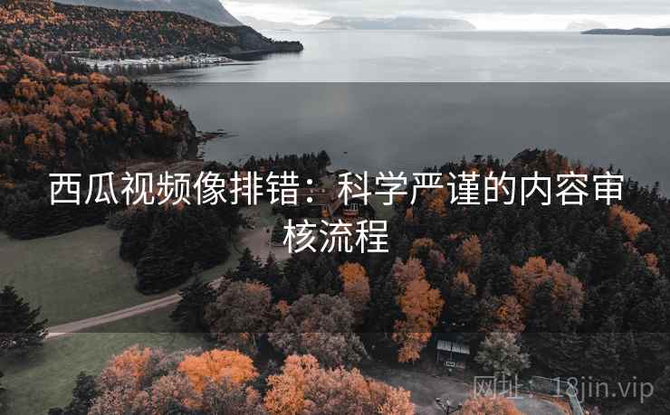 西瓜视频像排错：科学严谨的内容审核流程