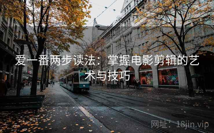 爱一番两步读法:掌握电影剪辑的艺术与技巧 爱一番两步读法:掌握电影剪辑的艺术与技巧